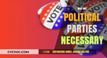 Why Political Parties Are Essential for Democratic Governance and Stability