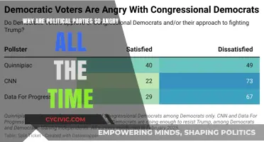Why Political Parties Constantly Fuel Anger and Division