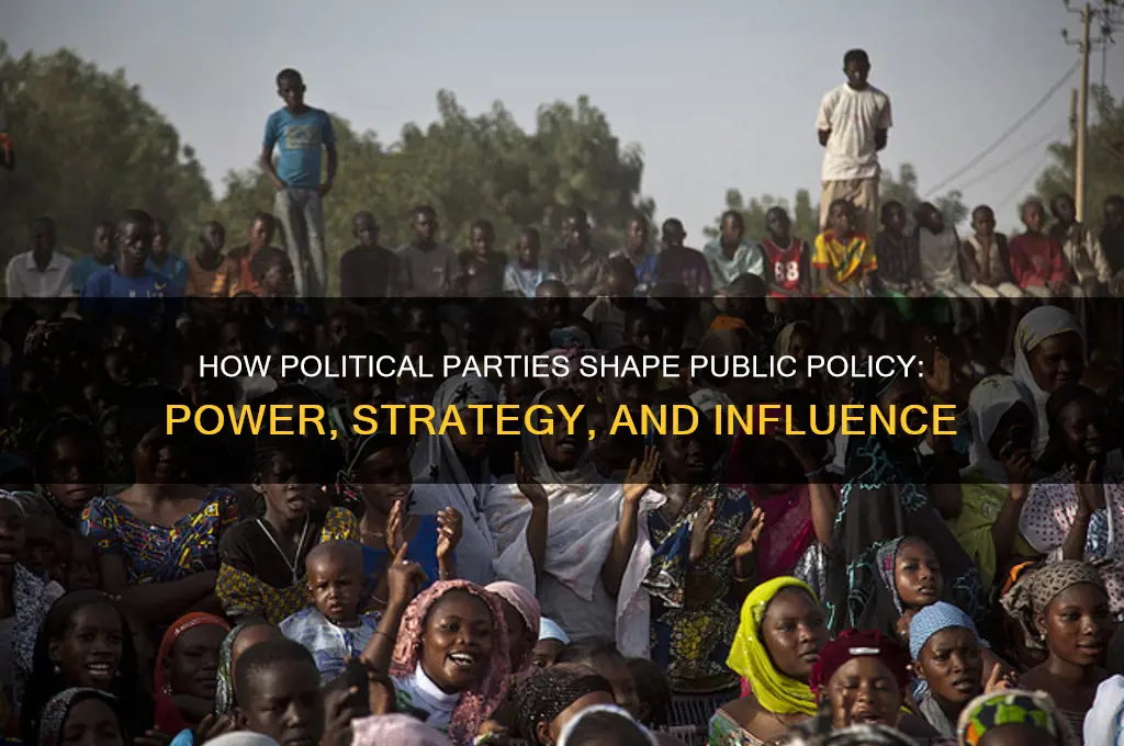 why are political parties so effective in influencing public policy