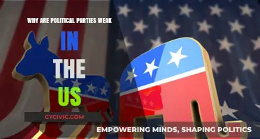 Weak Political Parties in the US: Causes and Consequences Explored