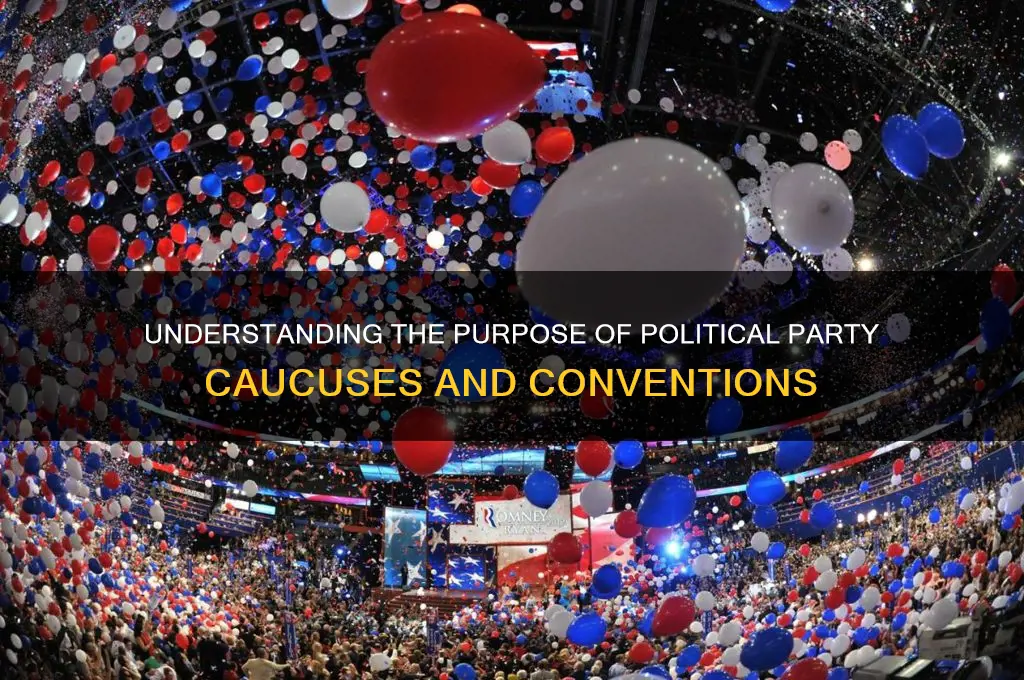 why are political party caucuses and conventions held