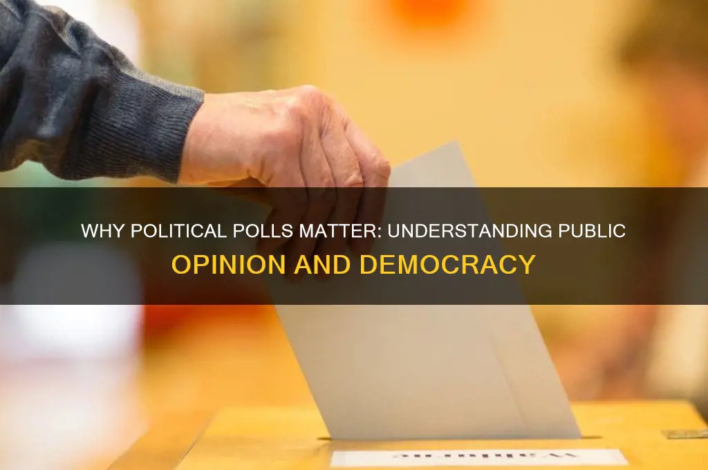 why are political polls taken