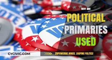 Why Political Primaries Shape Elections and Candidate Selection