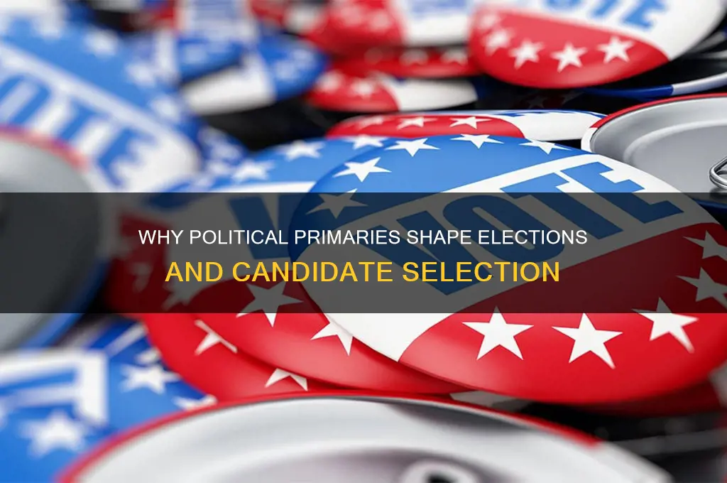 why are political primaries used