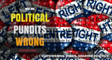 Why Political Pundits Often Miss the Mark: Unraveling the Errors