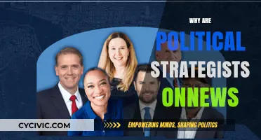 Why Political Strategists Dominate News Cycles: Insights and Impact