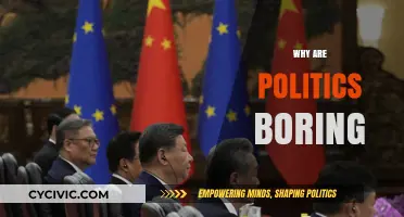 Why Politics Feel Boring: Unraveling the Disconnect and Finding Engagement