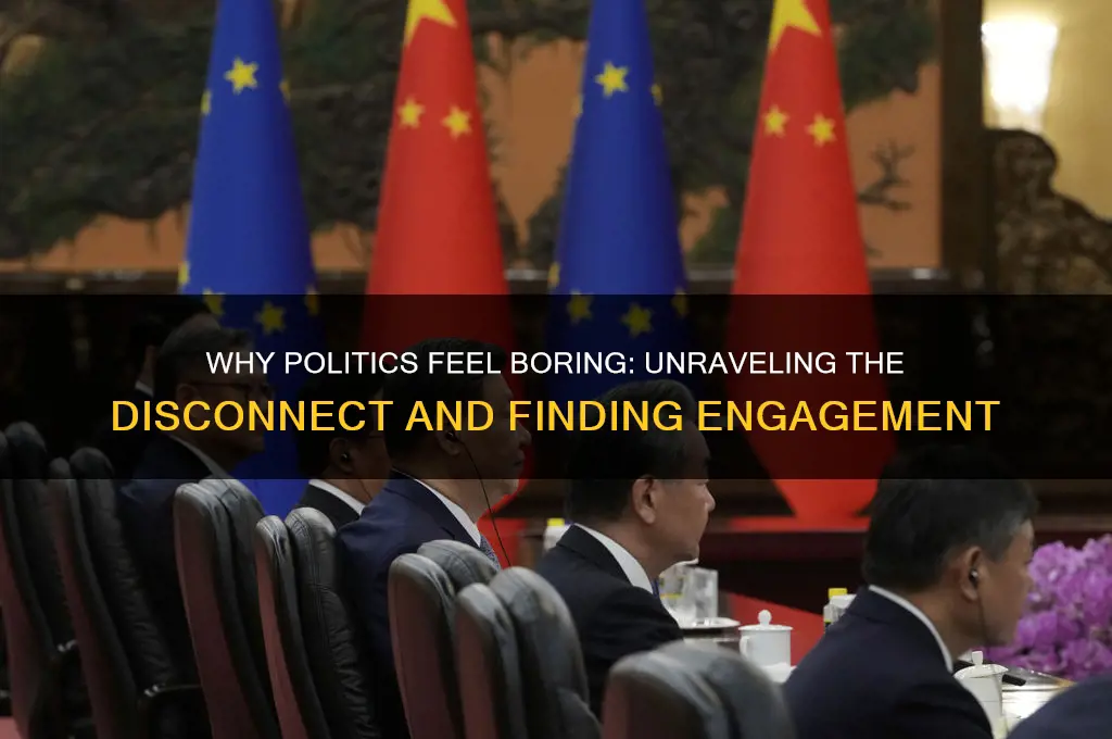 why are politics boring