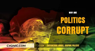 Unveiling the Roots of Political Corruption: Causes and Consequences