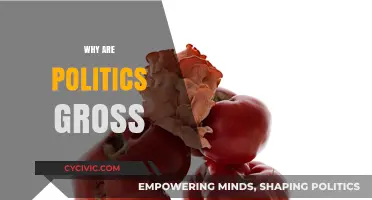 The Ugly Truth: Why Politics Often Feels Gross and Unappealing