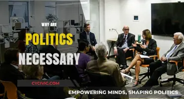 Why Politics Matter: Governing Society and Shaping Our Collective Future