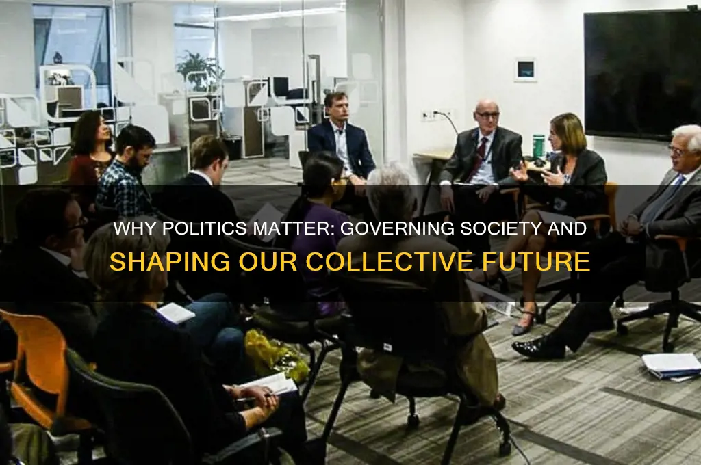 why are politics necessary