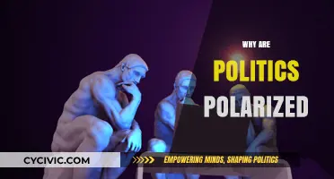 Divided We Stand: Unraveling the Roots of Political Polarization