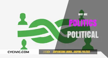 Why Politics Remain Inherently Political: Unraveling the Complex Dynamics