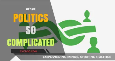 Why Politics Are So Complicated: Unraveling the Intricacies of Governance