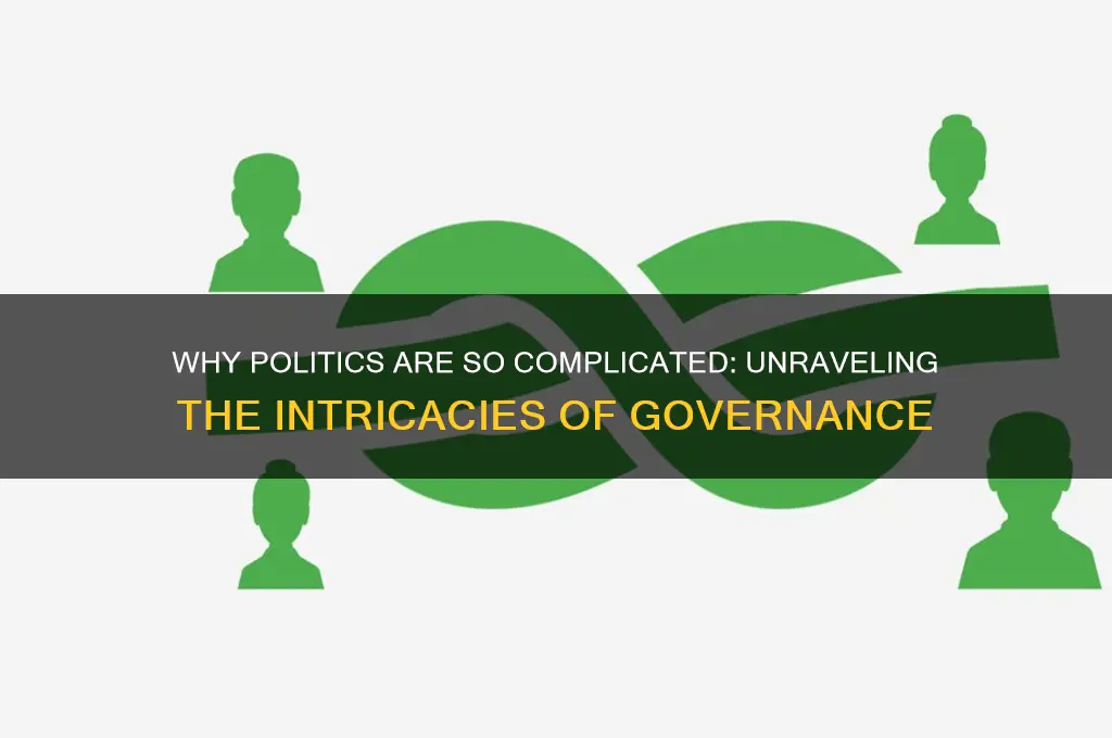 why are politics so complicated