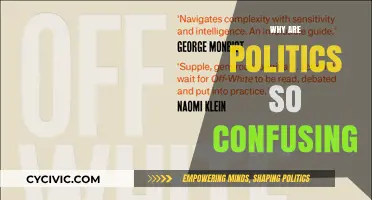 Why Politics Confuses Us: Decoding Complexities and Hidden Agendas