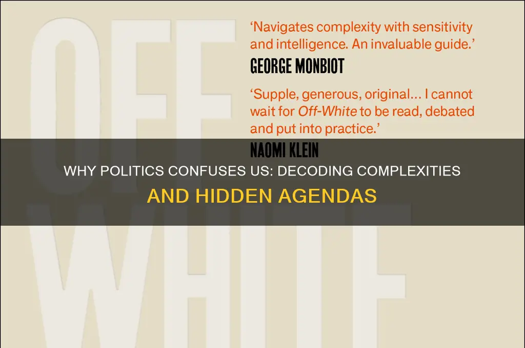 why are politics so confusing