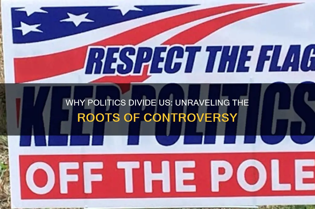 why are politics so controversial