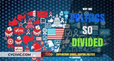 Polarized Politics: Unraveling the Deep Roots of America's Growing Divide