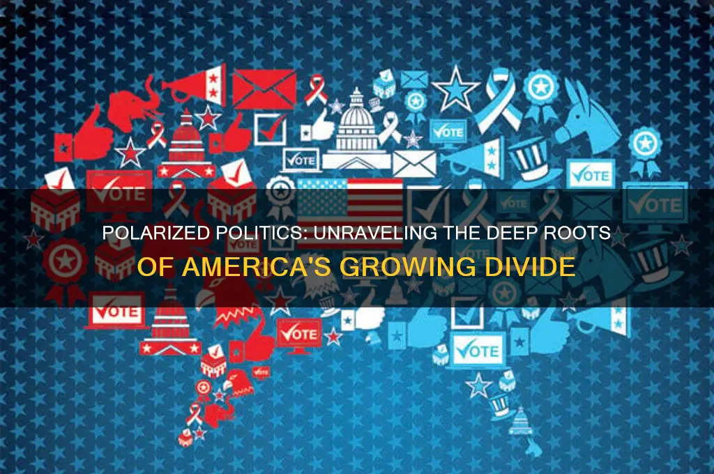 why are politics so divided