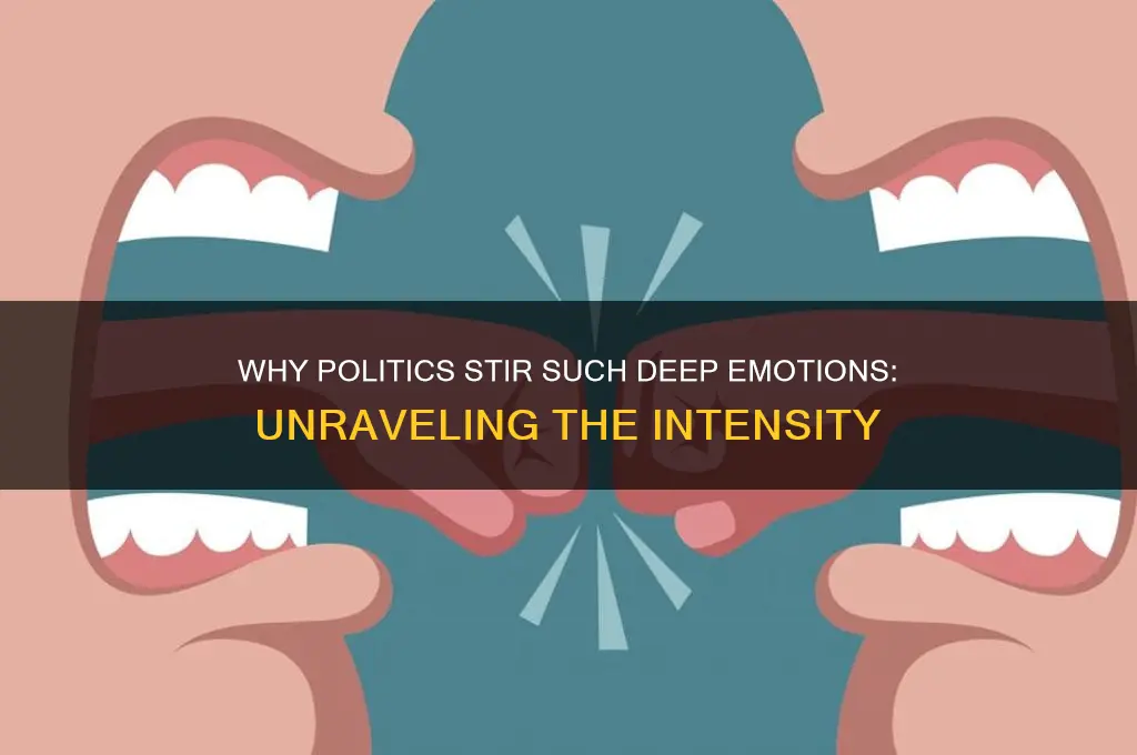 why are politics so emotional
