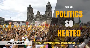 Why Political Debates Ignite Passions and Divide Societies