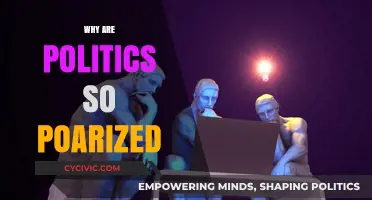 Divided We Stand: Unraveling the Roots of Political Polarization