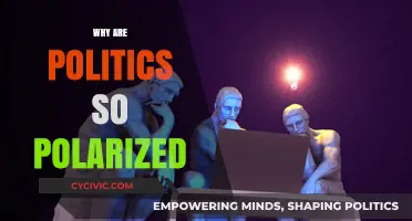 Divided We Stand: Unraveling the Roots of Political Polarization