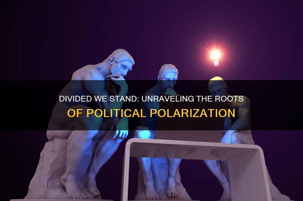 why are politics so polarized