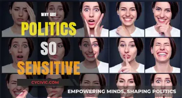 Why Politics Stir Strong Emotions: Unraveling the Sensitivity Behind Debates