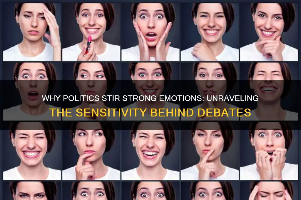 why are politics so sensitive