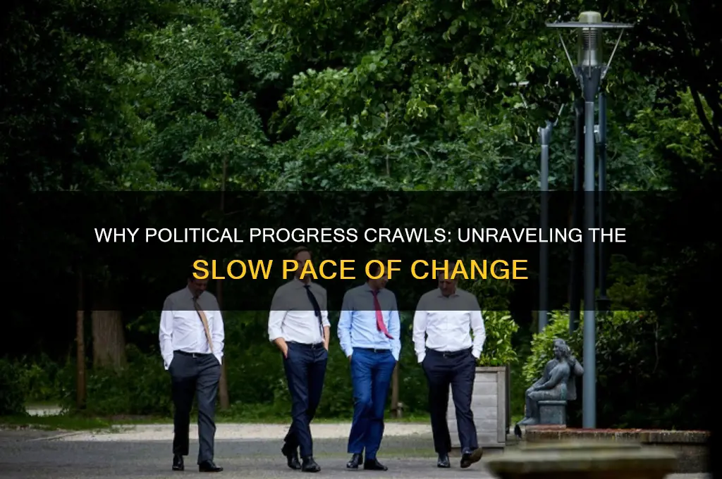 why are politics so slow