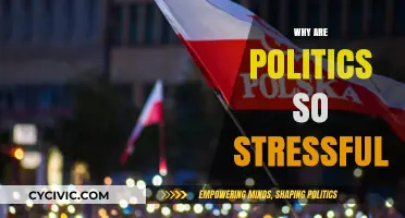 Why Politics Cause Stress: Unraveling the Tension in Modern Democracy