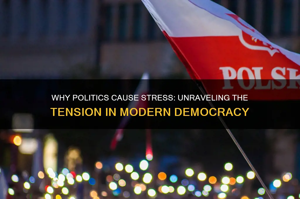 why are politics so stressful