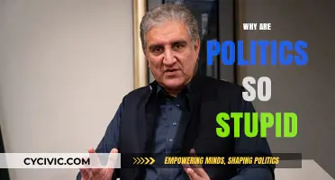 Why Politics Often Feels Stupid: Unraveling the Chaos and Frustration