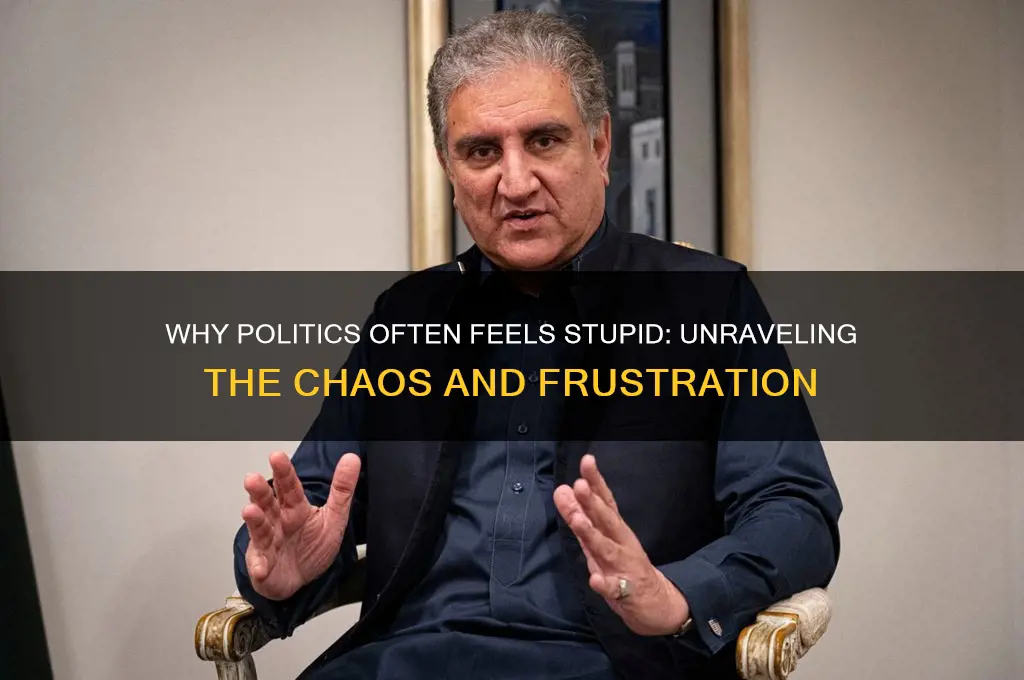 why are politics so stupid