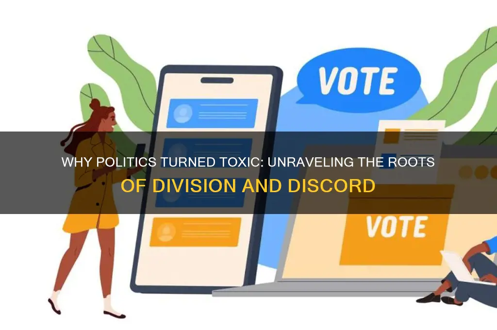 why are politics so toxic