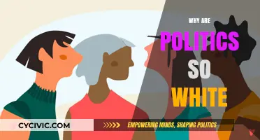 Why Are Politics So White? Exploring Racial Disparities in Leadership