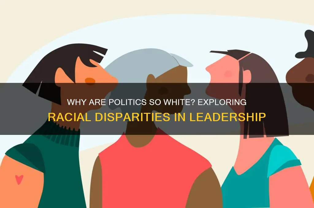 why are politics so white
