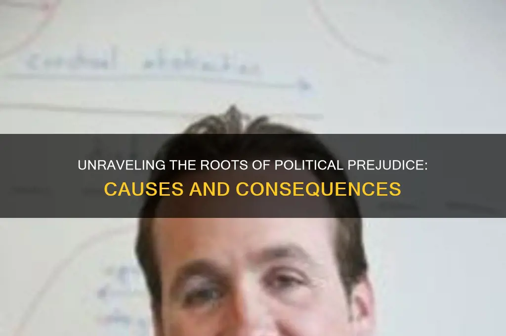 why are prejudice against politics