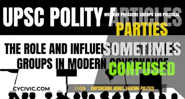 Pressure Groups vs. Political Parties: Understanding Their Distinct Roles and Goals
