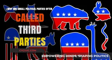 Understanding the Third Party Label for Small Political Parties