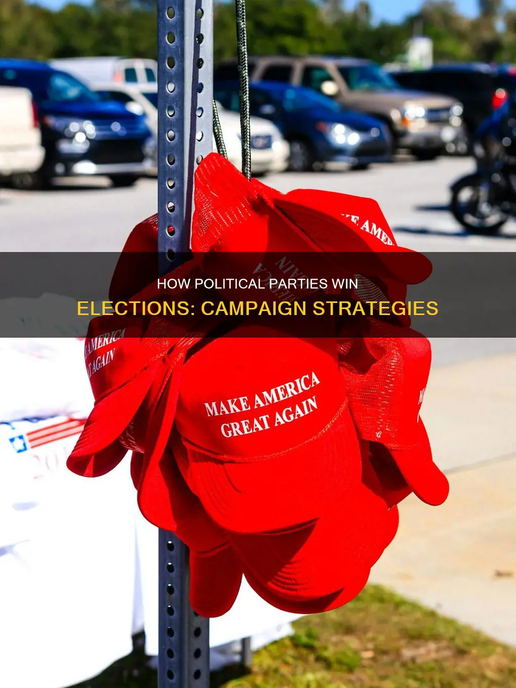 why are some political parties election campaigns successful