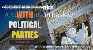 Why Supreme Court Justices Remain Nonpartisan in American Politics