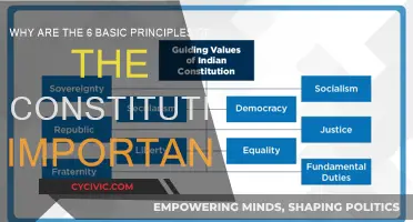 The Constitution's Principles: Foundation of a Nation