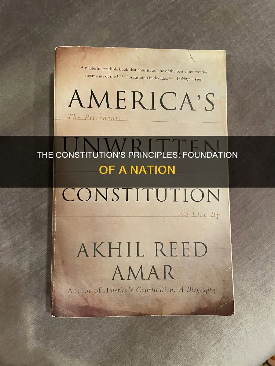 why are the 6 basic principles of the constitution important