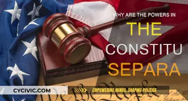 Separation of Powers: A Constitutional Check and Balance