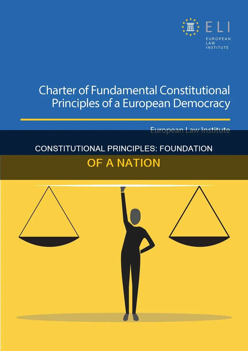 why are the principles of the constitution important