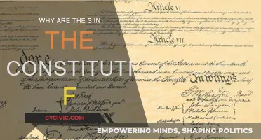 The Constitution's S Mystery: Why the Strange Typography?